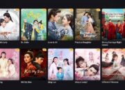4 Situs Nonton Drama China Subtitle Indonesia Terbaik untuk Penggemar C-Drama