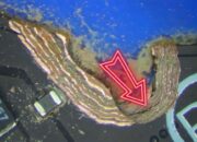 Reparasi Motherboard Laptop Razer Tunjukkan Betapa Fatalnya Kesalahan Desain PCB