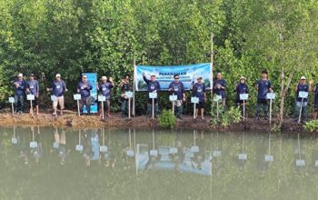 GoZero% Telkom Makin Serius, Ribuan Mangrove Ditanam di Hari Bumi 2026
