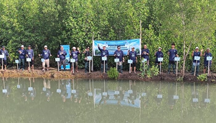 GoZero% Telkom Makin Serius, Ribuan Mangrove Ditanam di Hari Bumi 2026