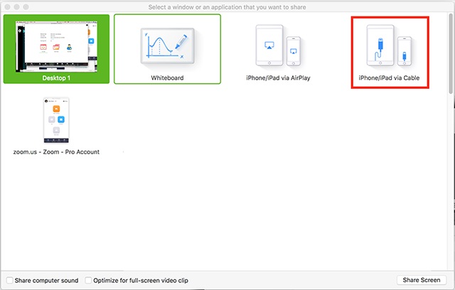 Cara Share Screen di Zoom dari HP atau Laptop, Begini Langkahnya