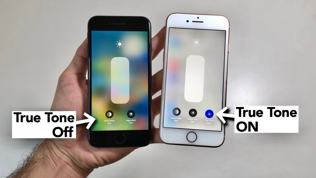 True Tone iPhone untuk Apa? Ini Fungsi dan Cara Mengaktifkannya